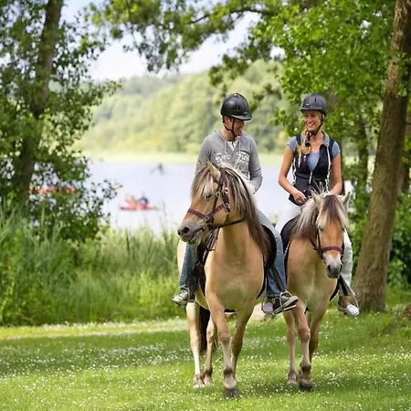 Mit Sauna Im Mirow Holiday home Granzow
